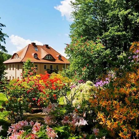 Rezydencja Grawert Boutique & Spa Lądek-Zdrój Buitenkant foto